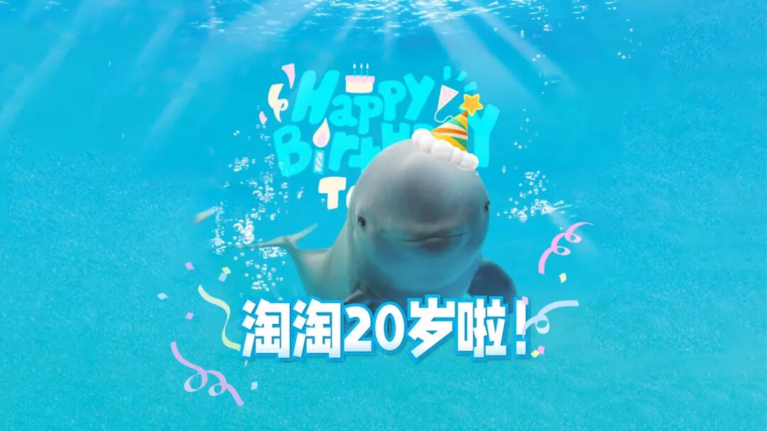 微信图片_2025-07-04_200938_111.jpg