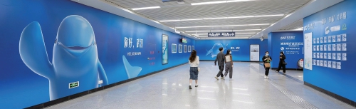 建设“数字江豚”生态 打造江豚保护新引擎 建设“数字江豚”生态 打造江豚保护新引擎